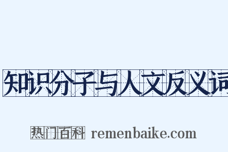 知识分子与人文反义词是什么意思的图片